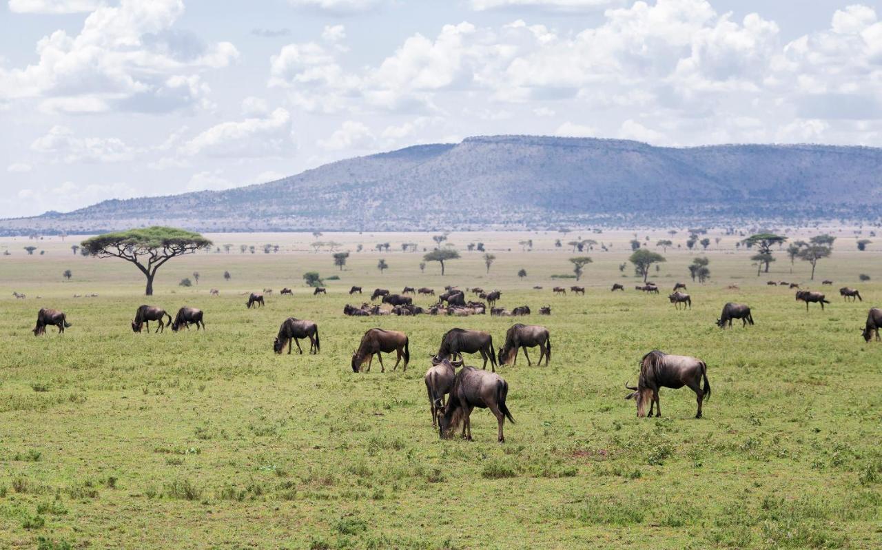 Ngorongoro Lodge Member Of Melia Collection - The Leading Hotels Of The World Exterior foto