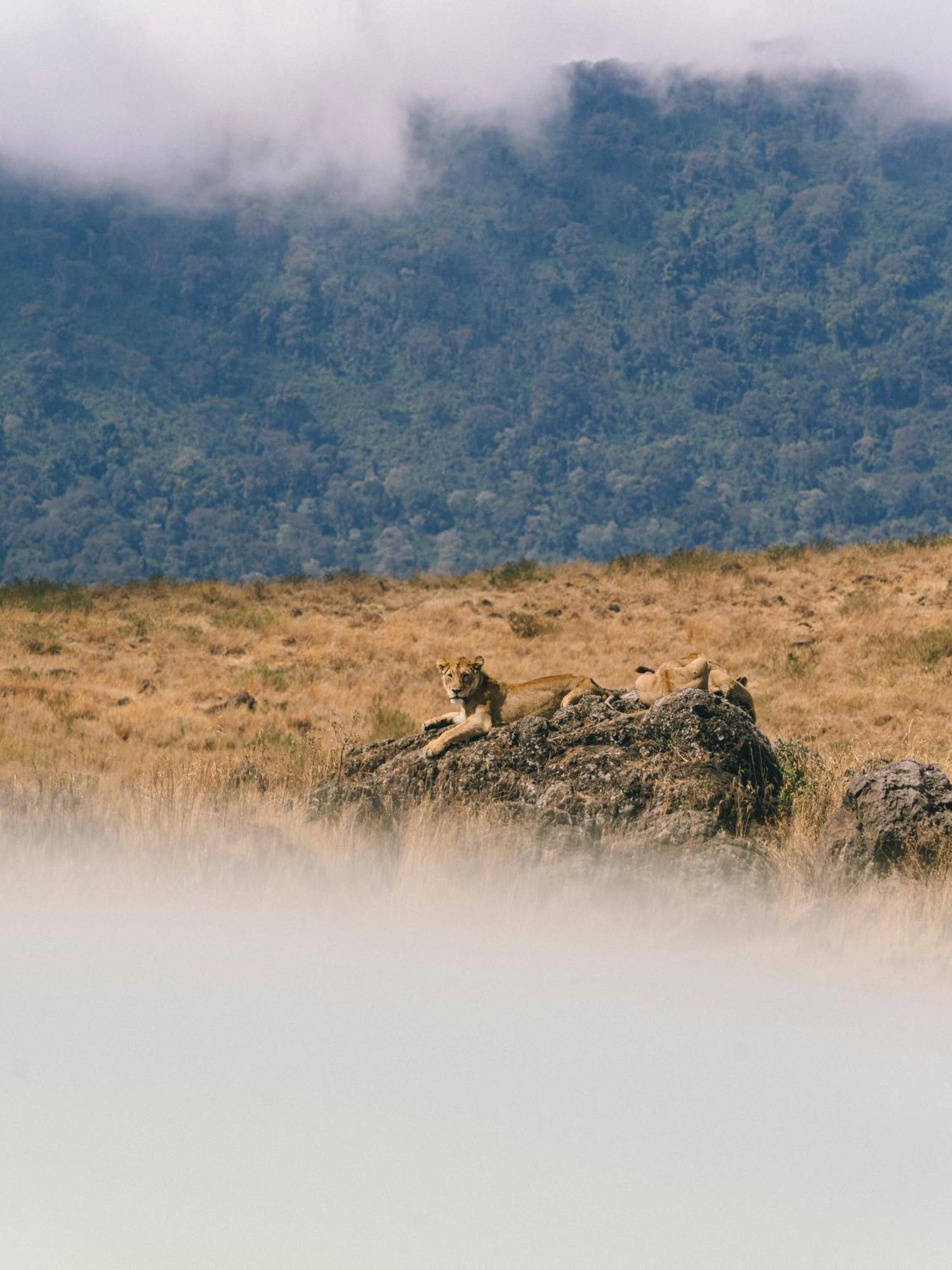 Ngorongoro Lodge Member Of Melia Collection - The Leading Hotels Of The World Exterior foto