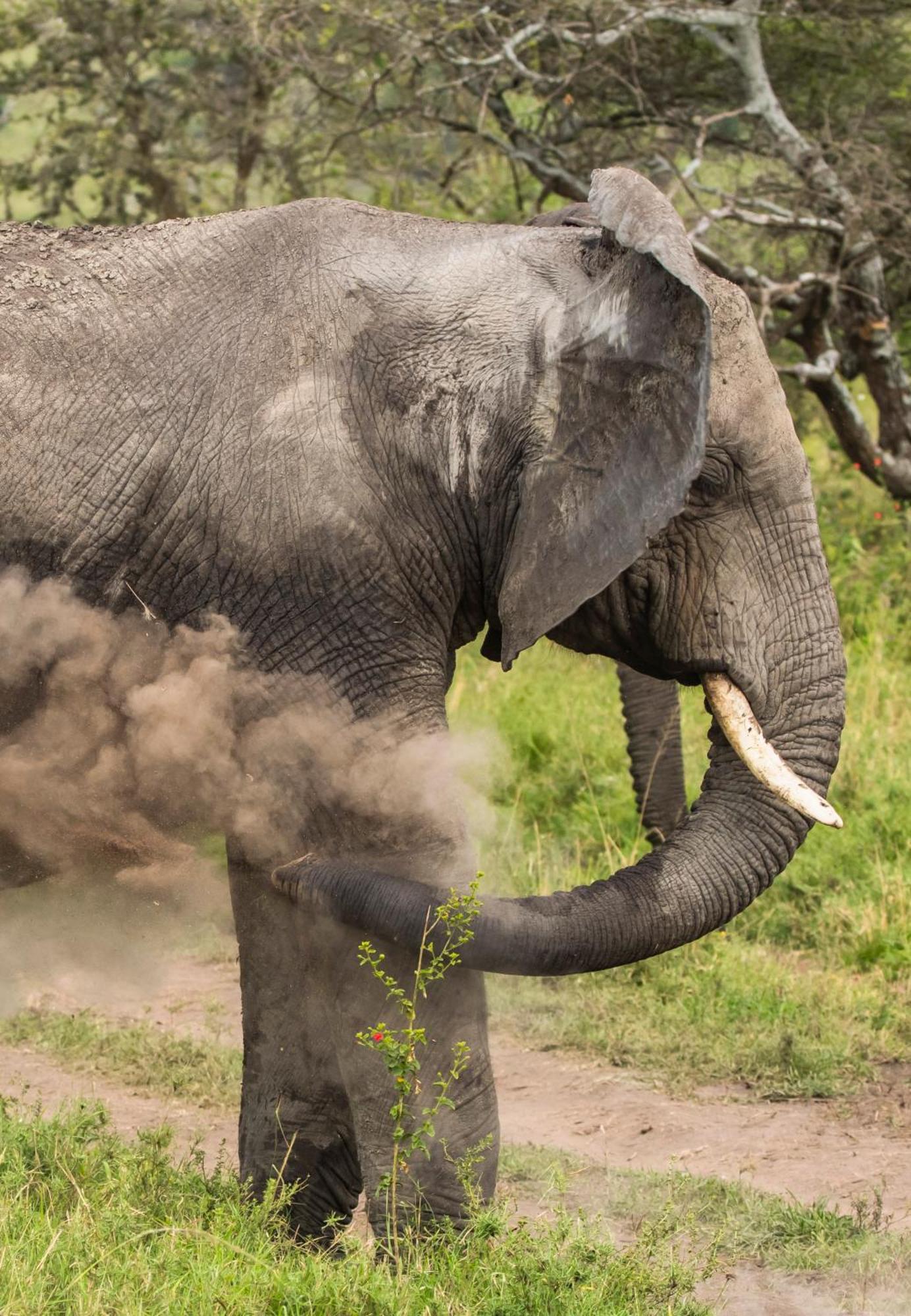 Ngorongoro Lodge Member Of Melia Collection - The Leading Hotels Of The World Exterior foto